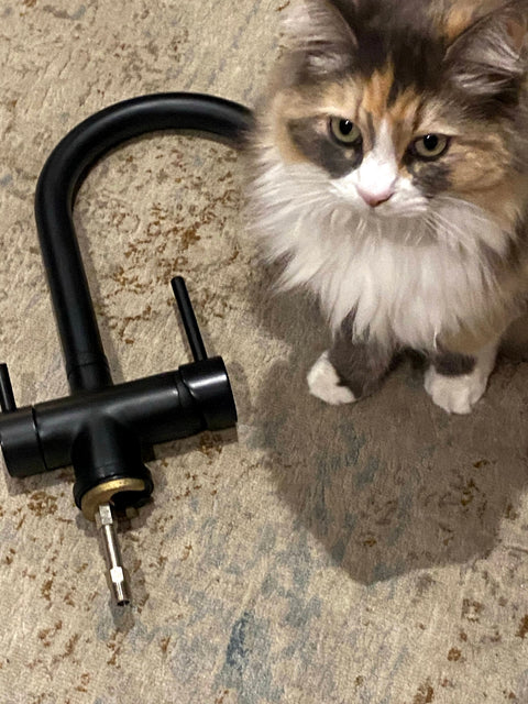 Change your kitchen tap