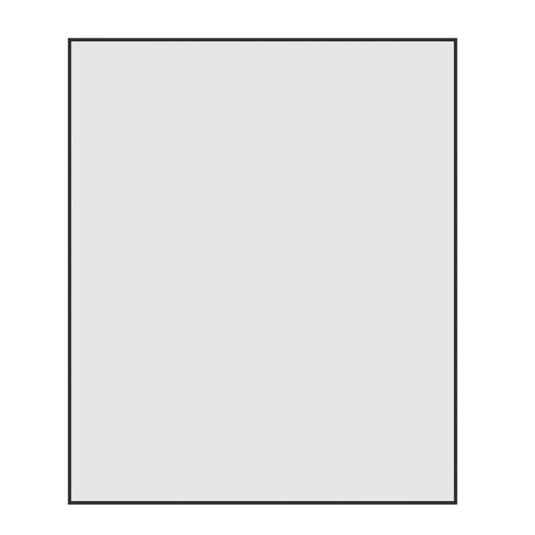 Carson Rectangle Mirror