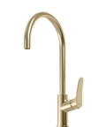 Oliveri Verona Goose Neck Kitchen Mixer Classic Gold VA306503CG