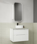 Aulic Flauto 750mm wall hung vanity styled in a bathroom