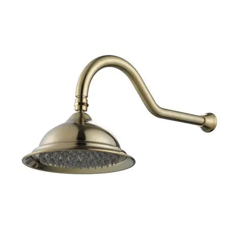 Modern National - Bordeaux Shower Arm & Rose Brushed Bronze