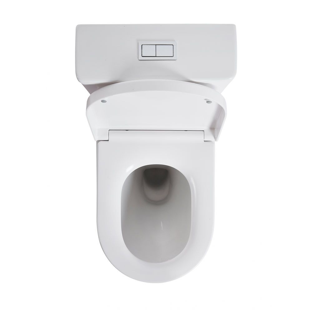 Alpine - Denali Rimless Toilet Suite