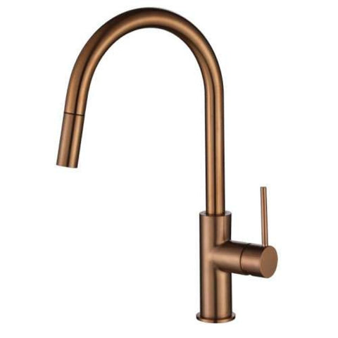 Modern National - Star Mini Pull Out Kitchen Mixer Champagne