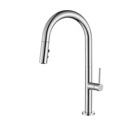 Modern National - Bentley Pullout Kitchen Mixer Chrome