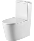 Vienna Back To Wall Toilet Suite-VI1273